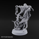 Screams Before Introductions Banshee Lantern Bearer A