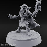 Skull Staff Brandishing Goblin Pet Seller gallery 8