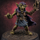 Skull Staff Brandishing Goblin Pet Seller — painted concept preview (miniature supplied unpainted)