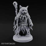 Skull Staff Wielding Tabaxi Necromancer Miniature for Dungeons and Dragons, Pathfinder or other TTRPGs