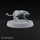 Stand, Stalk, Sprint Panther Beasts — B