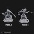 Spear And Shield Lunging Human Spear Warriors Miniature for Dungeons and Dragons, Pathfinder or other TTRPGs