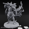 Robes Billowing Menacingly Specter Lord Miniature for Dungeons and Dragons, Pathfinder or other TTRPGs
