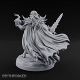 Spell And Sword Wielding Elf Spellblade gallery 10