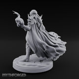 Spell And Sword Wielding Elf Spellblade gallery 12