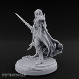 Spell And Sword Wielding Elf Spellblade gallery 13