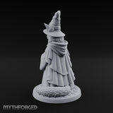 Star Hat Wearing Tabaxi Wizard Miniature for Dungeons and Dragons, Pathfinder or other TTRPGs