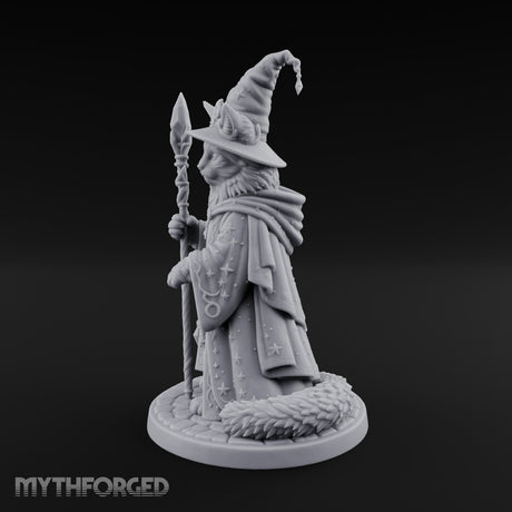 Star Hat Wearing Tabaxi Wizard Miniature for Dungeons and Dragons, Pathfinder or other TTRPGs