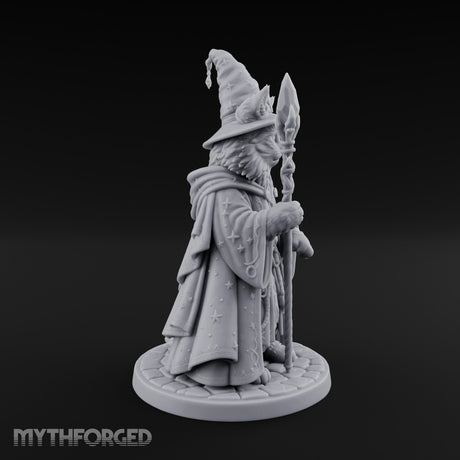 Star Hat Wearing Tabaxi Wizard Miniature for Dungeons and Dragons, Pathfinder or other TTRPGs