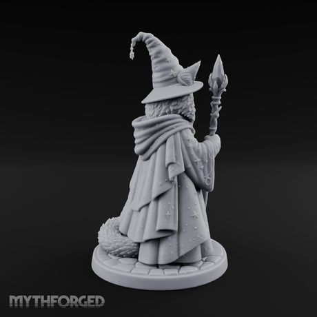 Star Hat Wearing Tabaxi Wizard Miniature for Dungeons and Dragons, Pathfinder or other TTRPGs