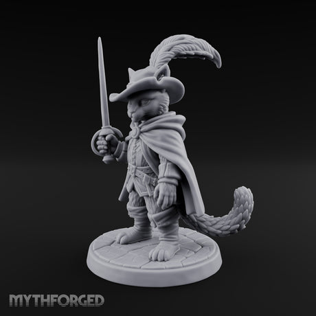 The Challenge Needs No Words Tabaxi Swashbuckler