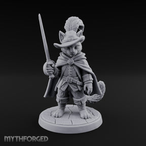The Challenge Needs No Words Tabaxi Swashbuckler