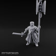 Sword And Relic Bearing Human Cleric Miniature for Dungeons and Dragons, Pathfinder or other TTRPGs