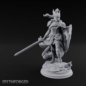 Sword Levelling Shield Bearing Human Knight — 32mm / With