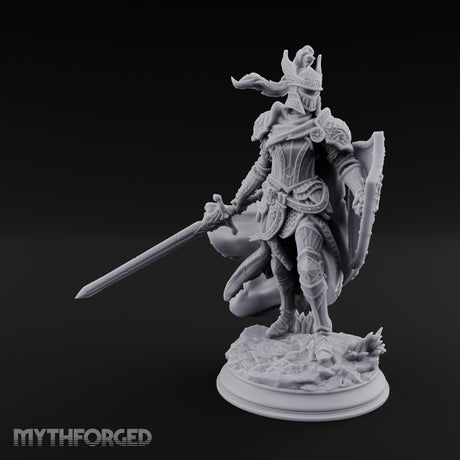 Sword Levelling Shield Bearing Human Knight — 75mm / With