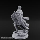 Sword Levelling Shield Bearing Human Knight gallery 27