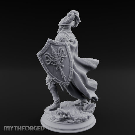 Sword Levelling Shield Bearing Human Knight gallery 28