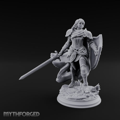 Sword Levelling Shield Bearing Human Knight gallery 3