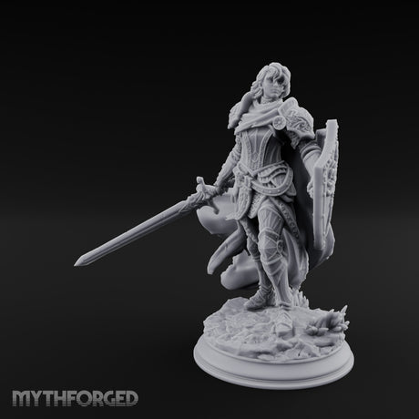 Sword Levelling Shield Bearing Human Knight gallery 34