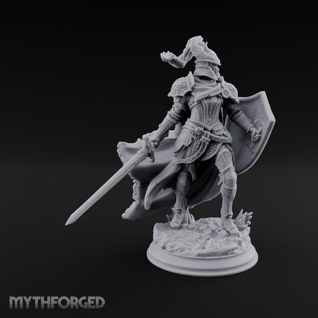 Sword Levelling Shield Bearing Human Knight gallery 5