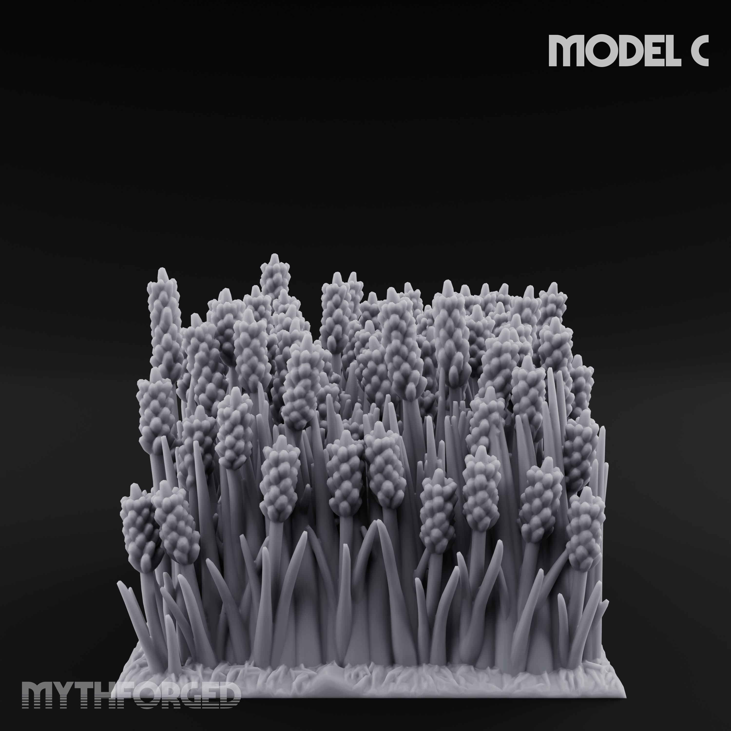 Cultivated Wildflower Meadows C