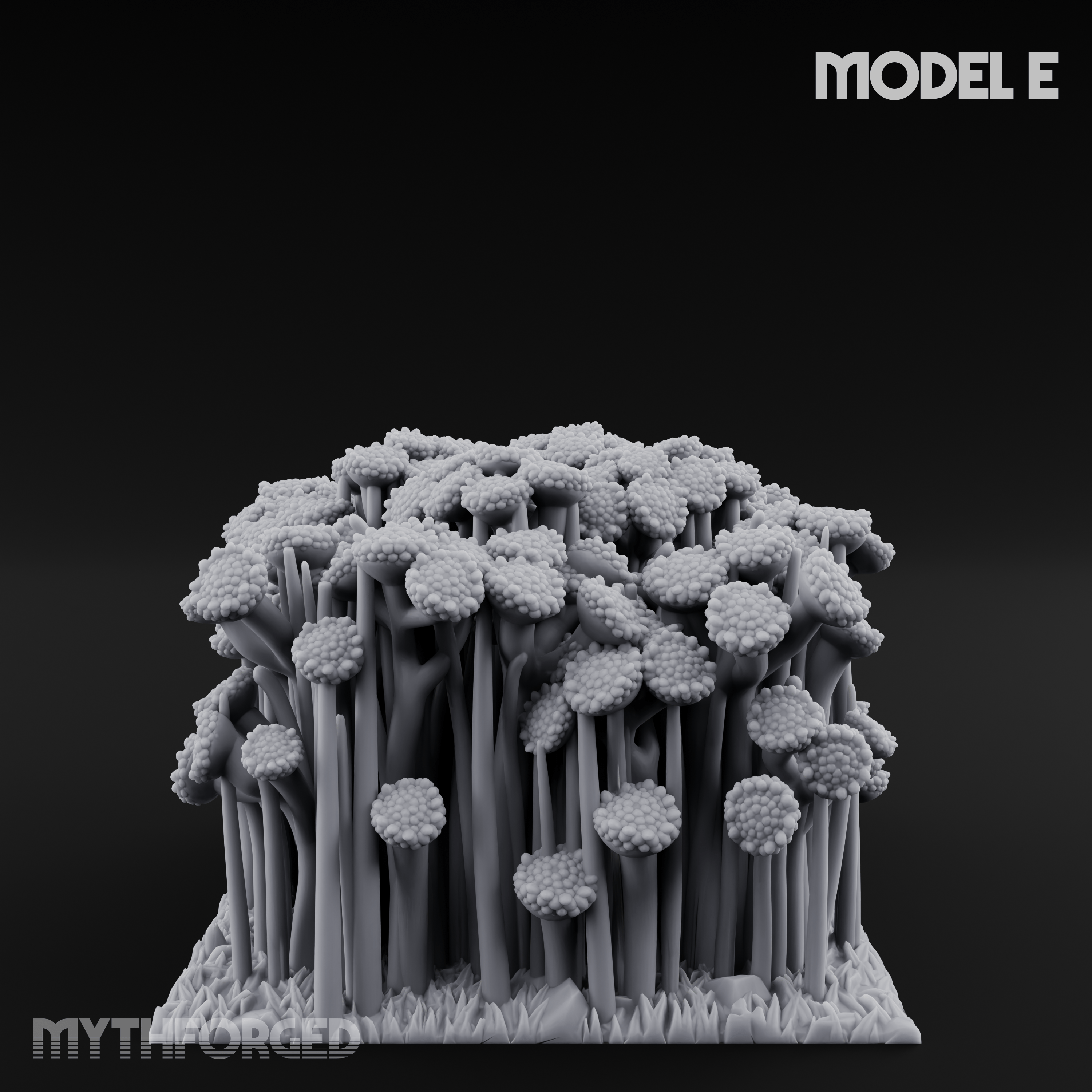 Cultivated Wildflower Meadows E