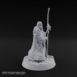 Ask the Staff, Not Him Dwarf Seer