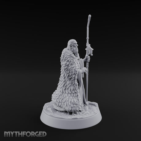 Ask the Staff, Not Him Dwarf Seer