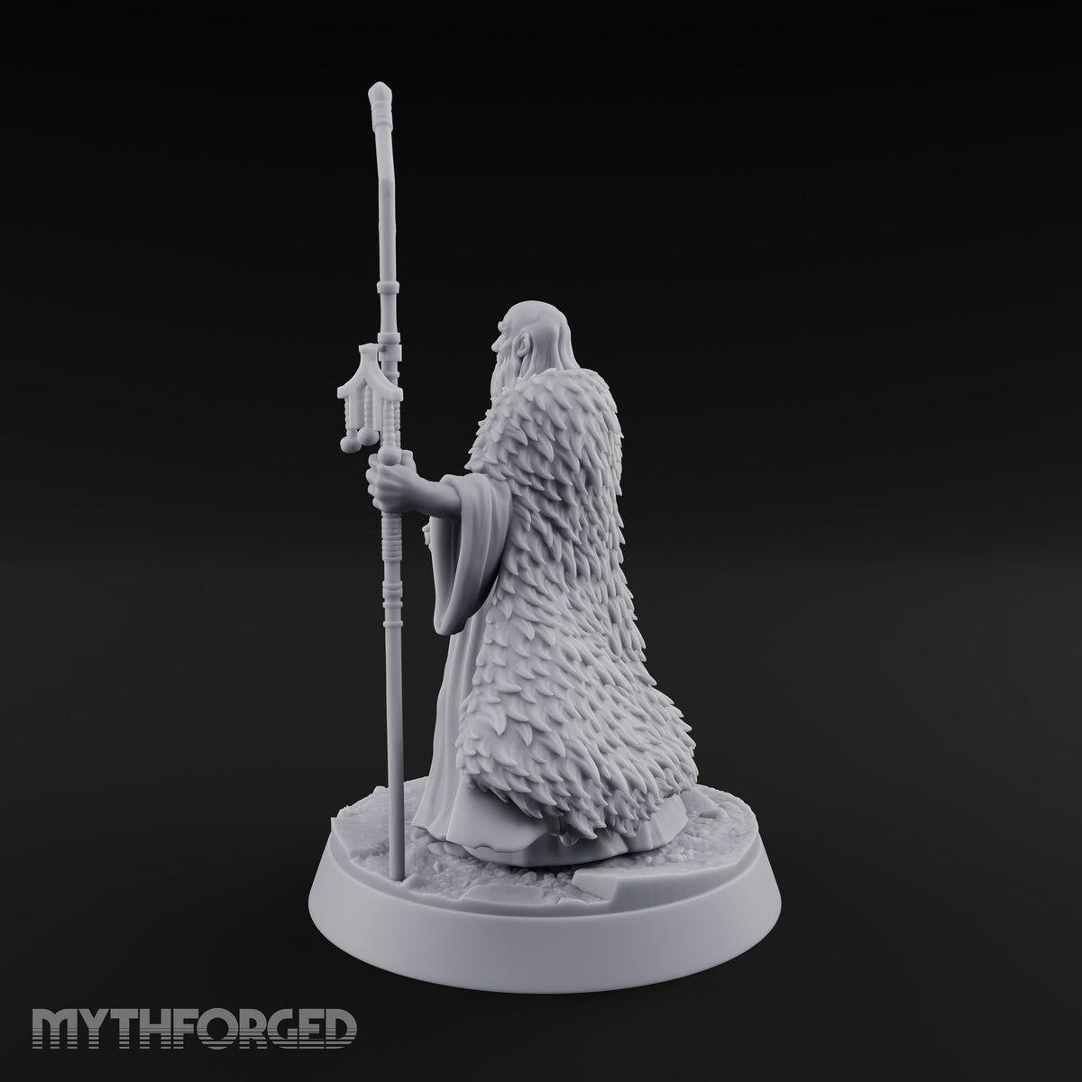 Ask the Staff, Not Him Dwarf Seer