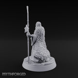 Ask the Staff, Not Him Dwarf Seer