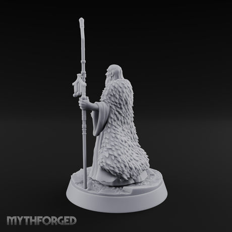 Ask the Staff, Not Him Dwarf Seer