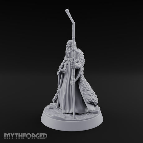 Ask the Staff, Not Him Dwarf Seer