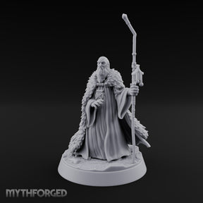 Ask the Staff, Not Him Dwarf Seer