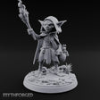 Torch Brandishing Goblin Thief