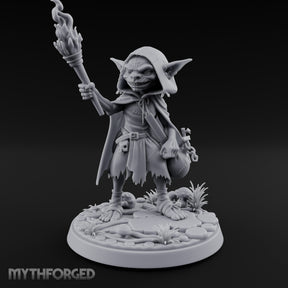 Torch Brandishing Goblin Thief