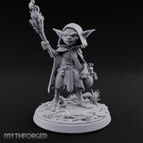 Torch Brandishing Goblin Thief gallery 1