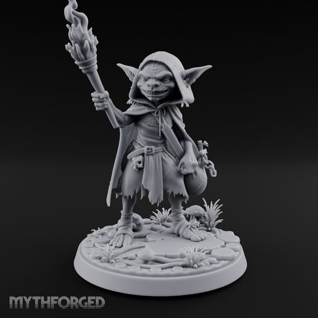 Torch Brandishing Goblin Thief gallery 1