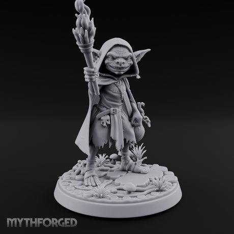 Torch Brandishing Goblin Thief gallery 2
