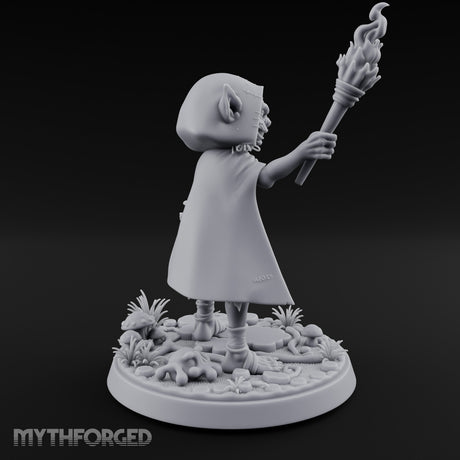 Torch Brandishing Goblin Thief gallery 4
