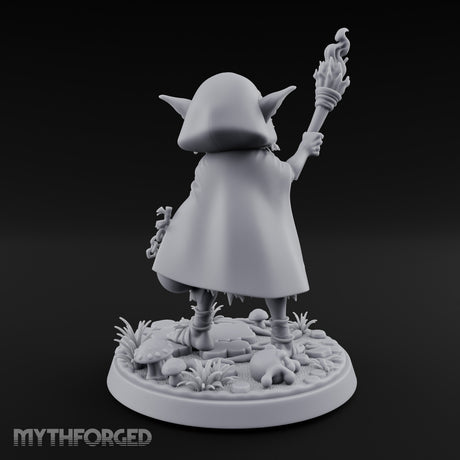 Torch Brandishing Goblin Thief gallery 5