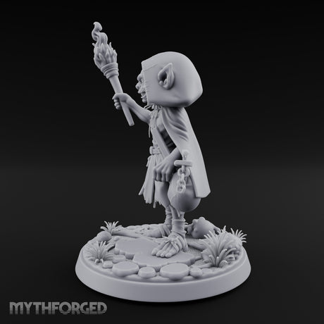 Torch Brandishing Goblin Thief gallery 7