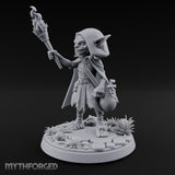 Torch Brandishing Goblin Thief gallery 8