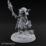 Torch Brandishing Goblin Thief gallery 9