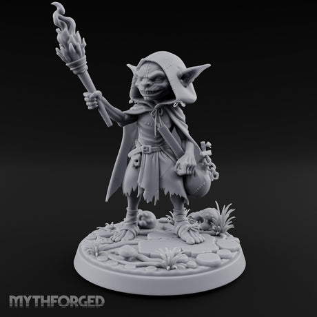 Torch Brandishing Goblin Thief gallery 9