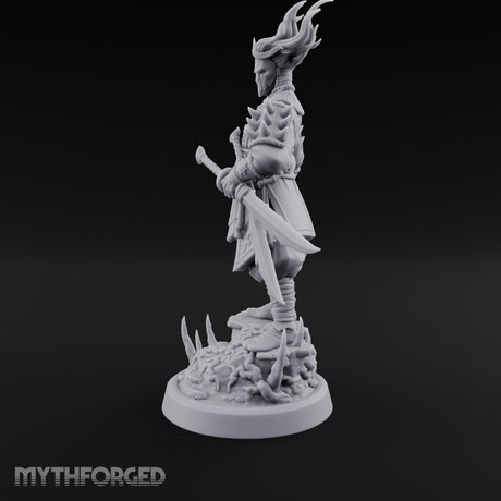Twin Blade Readying Masked Elf Warrior gallery 7
