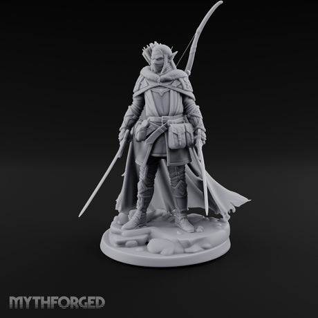 Twin Blades Lowered Elf Ranger gallery 16