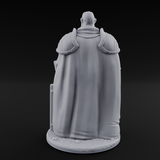 Standing His Ground Human Bodyguard Miniature for Dungeons and Dragons, Pathfinder or other TTRPGs