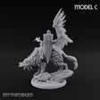 Steel, Feather and Fang Human Winged Hussar on Dire Wolf C