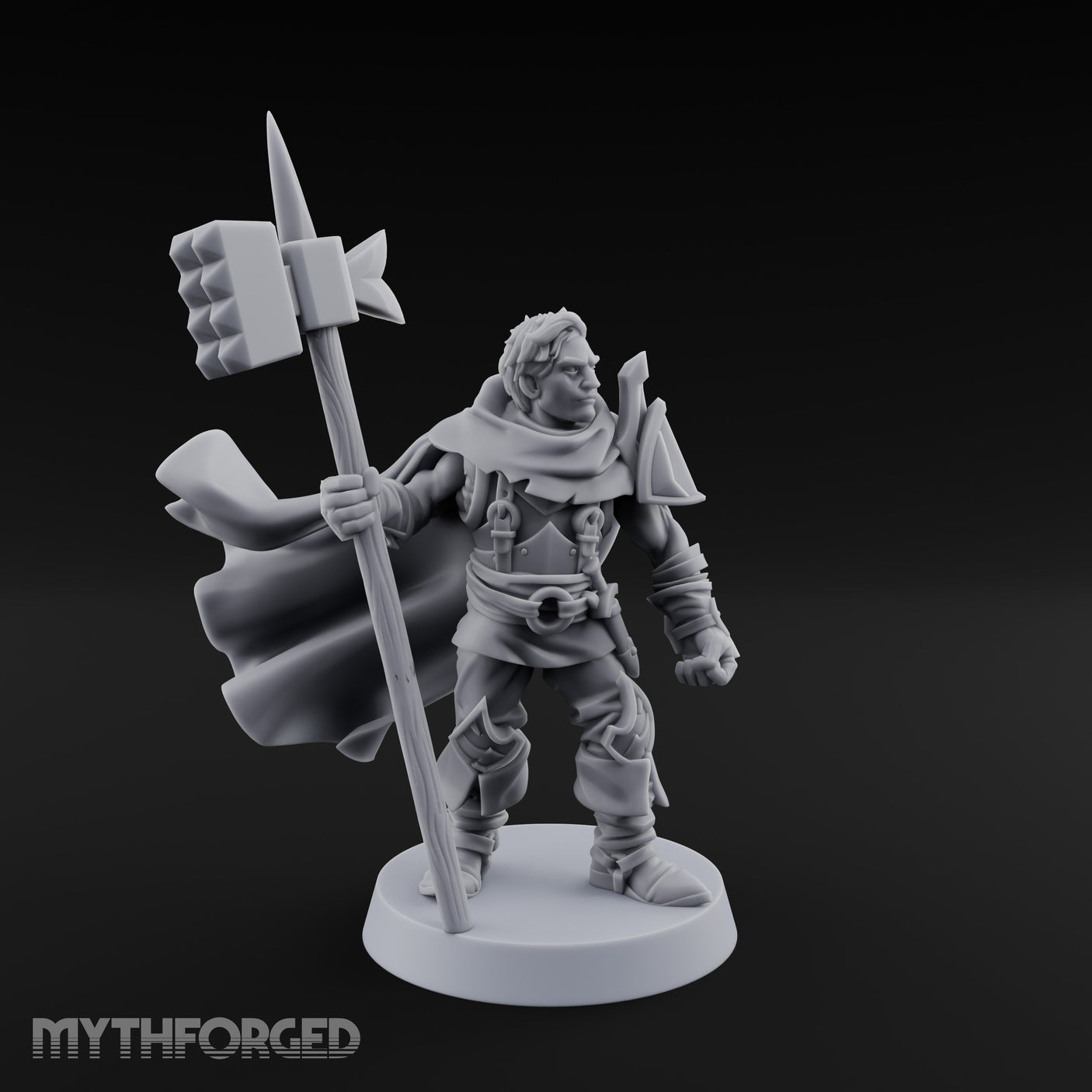 Weapon Adept Human Fighter gallery 7