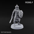 Shields Studded, Steel Singing Human Steppe Swordsman F